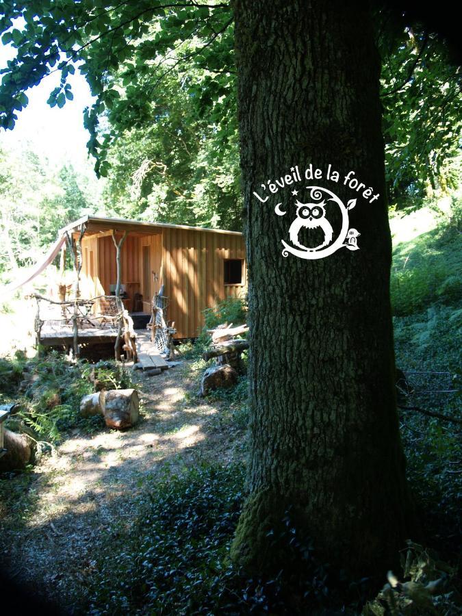 Gite Nature Au Pied Des Hetres Vitrac-sur-Montane المظهر الخارجي الصورة