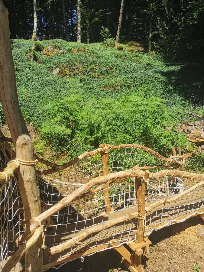 فيلا Gite Nature Au Pied Des Hetres Vitrac-sur-Montane المظهر الخارجي الصورة