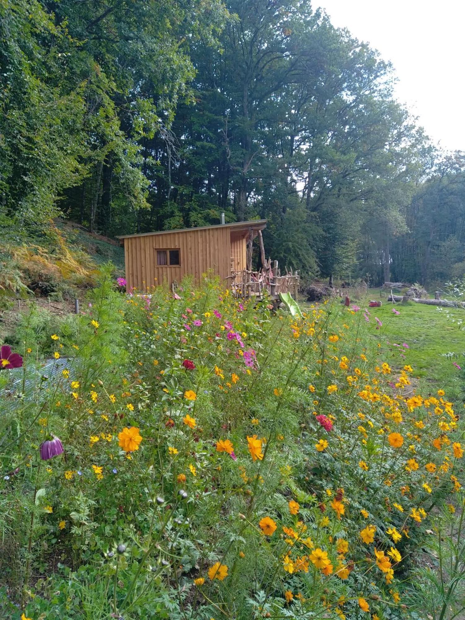 فيلا Gite Nature Au Pied Des Hetres Vitrac-sur-Montane المظهر الخارجي الصورة